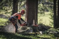 Husqvarna 365 X-Torq